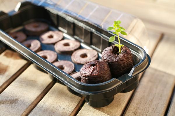 Accessoires pour semer - Kit de Plantation : Mini Serre + 10 Pastilles de Coco - face recto